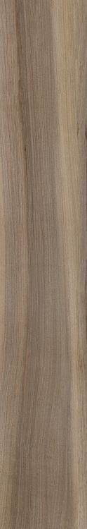 Harper Taupe 10 x 60
